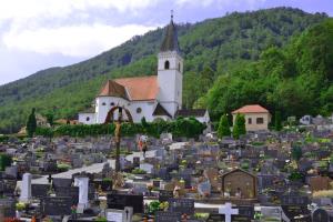 POKOPALIŠČE SLOVENSKE KONJICE (2)